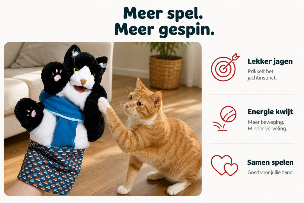 Brawlcat puppet on a hand, face to face with an orange cat. Dutch text: more play, more purring; proper hunting, energy burned off, playing together.