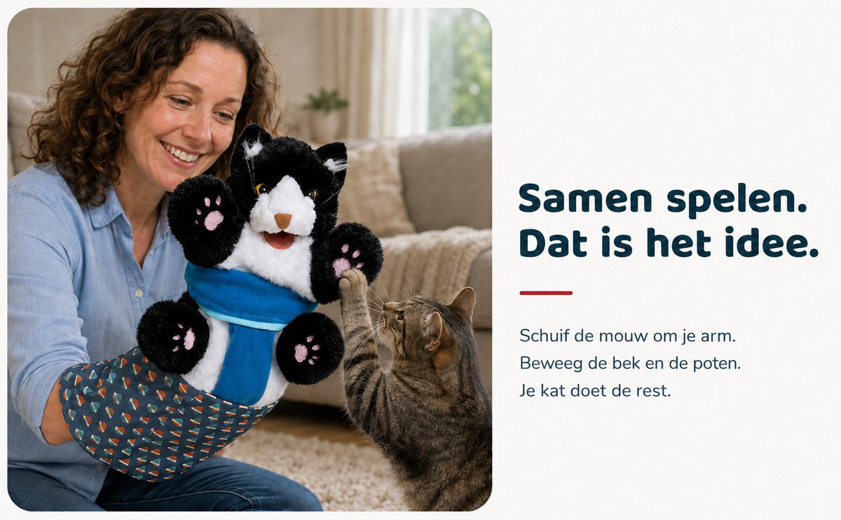 Woman sitting on the floor playing with a grey cat using the Brawlcat puppet. Dutch text: playing together, that's the idea.
