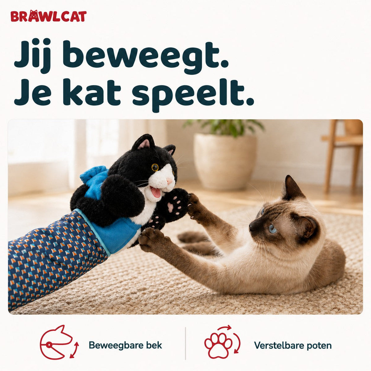Siamese cat kicking the Brawlcat puppet. Dutch text: you move, your cat plays.